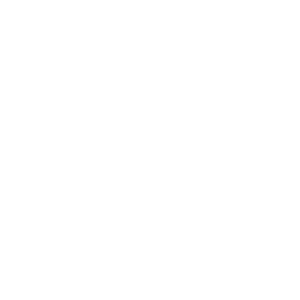 twitter_white_logo.png