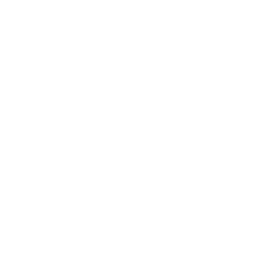 instagram_white_logo.png